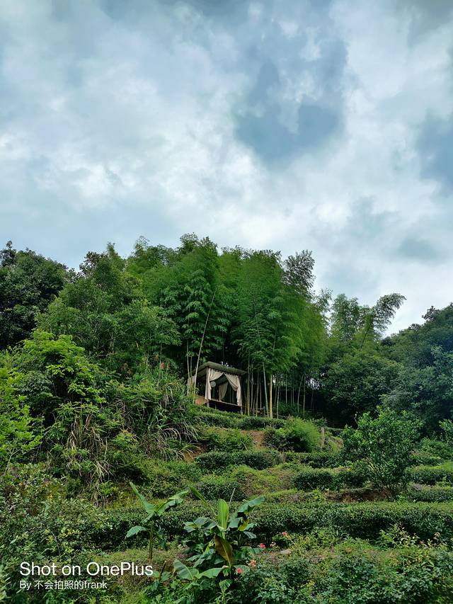 武夷山景区2020,中国最美的武夷山