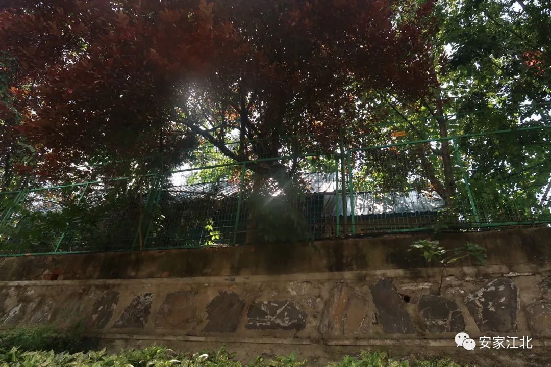 南京安置房排名前十,南京低容积率富人区