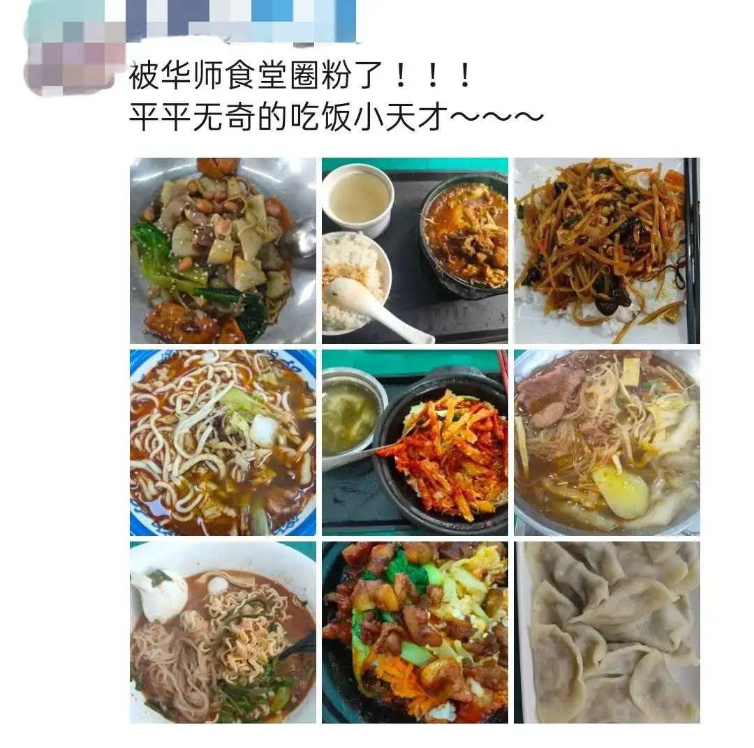 在华师可以学什么,在华东师大读书的体验