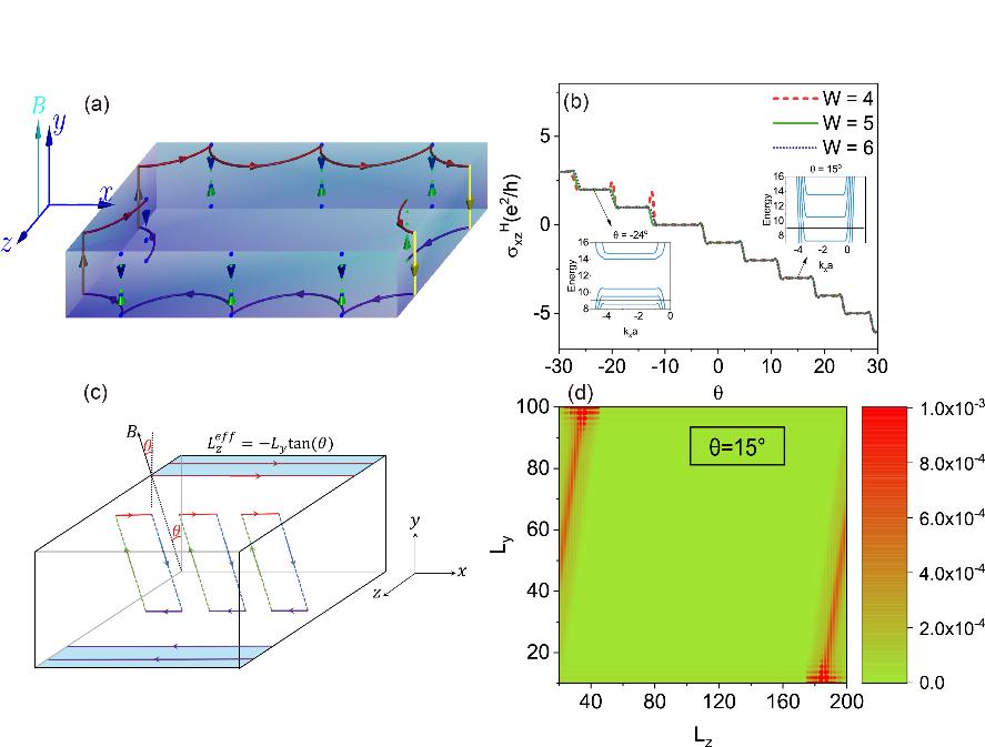 北京大学学位评定委员会内容,北京大学学位评估