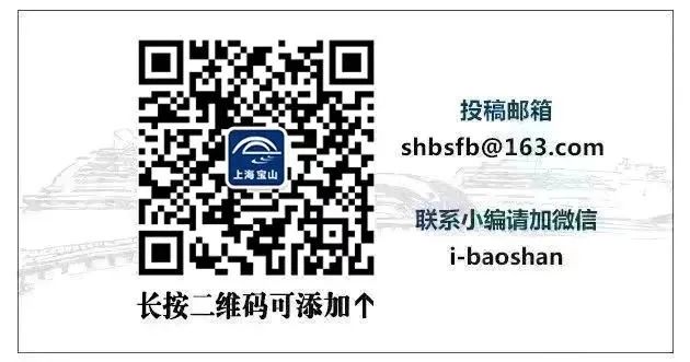 上海新的交通卡在哪里购买,上海交通卡2024新版