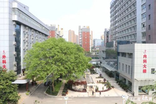 江西省第三人民医院招聘,九江第三医院招聘