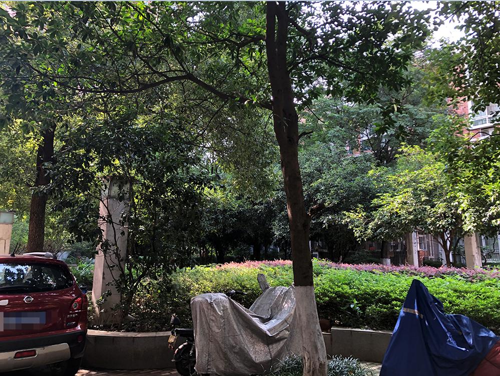 惊！南京三线“草小”成功逆袭，业主膨胀却不被认可，真相...