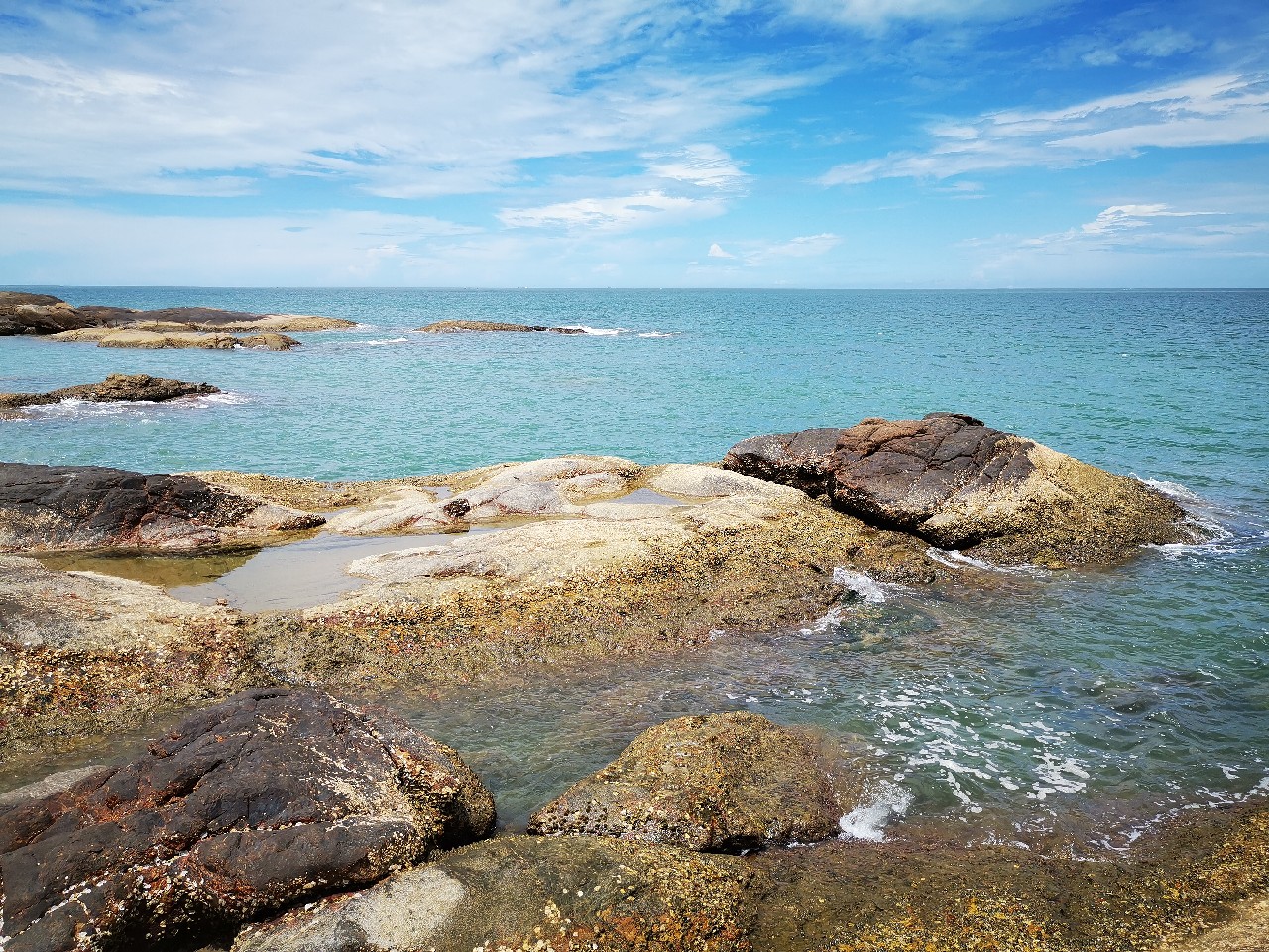 去小河边野采非常好看的观赏鱼,漂亮的观赏鱼美景