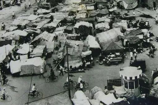 花木丛中人常在——章品镇与辛丰年