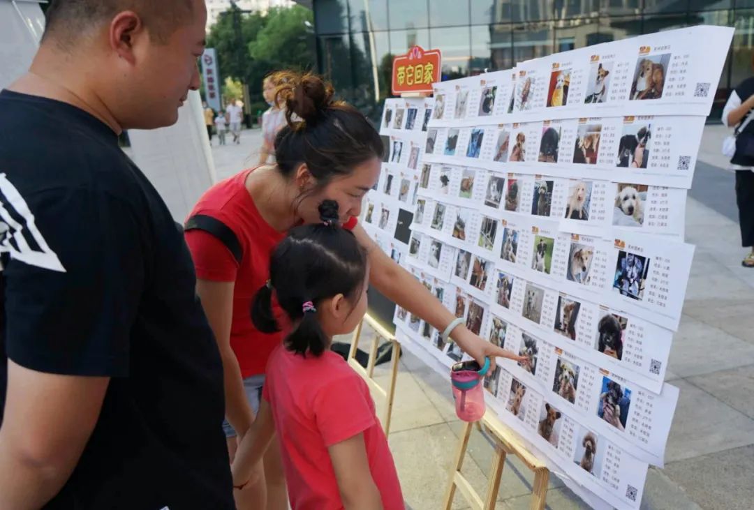 用领养代替购买，让流浪的“毛孩子”有个温馨的家~