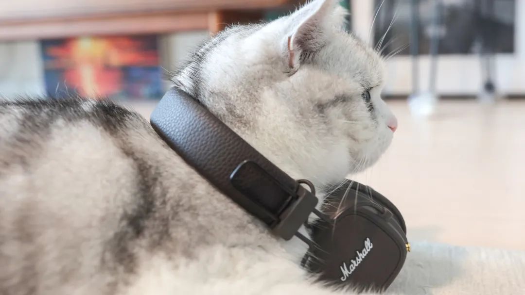 坚果黑巧纯可可脂,坚果黑巧燕麦