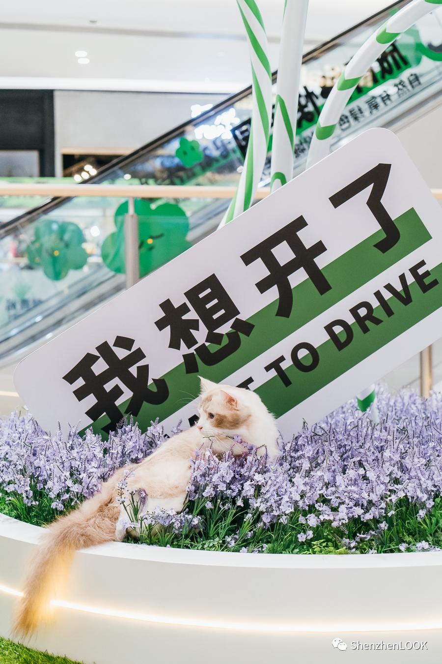 LOOK|海岸城更新·「宠物Mall」限时开放