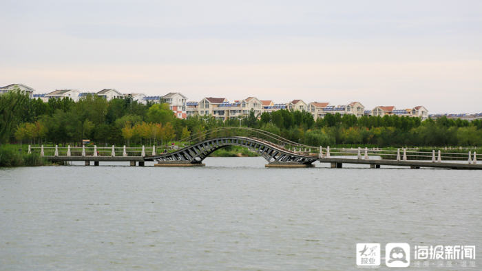 东营秋月湖公园,东营秋月湖风景