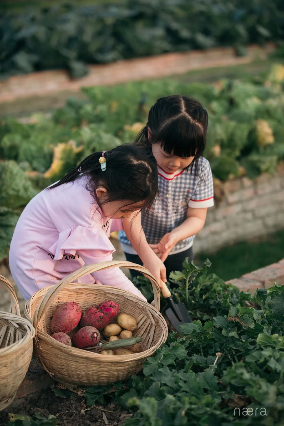 西塘古镇最佳的景观酒店,看西塘最好的酒店