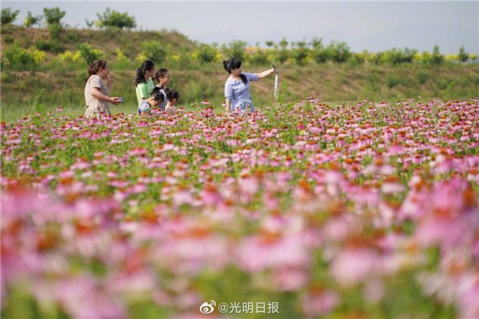 5天行走燕赵，20家媒体记者这样讲述河北小康故事