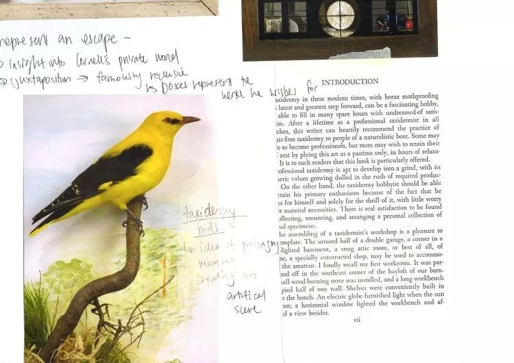 黑科技可拍照,黑科技拍照真实图片