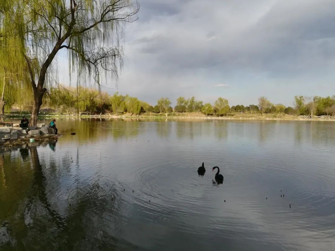 触动心灵的圆明园,人间天堂粤语男声版