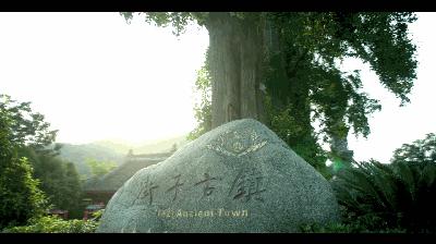 “州州伴你行”第30期丨崇州，到底有多大？每个人的答案都不一样！