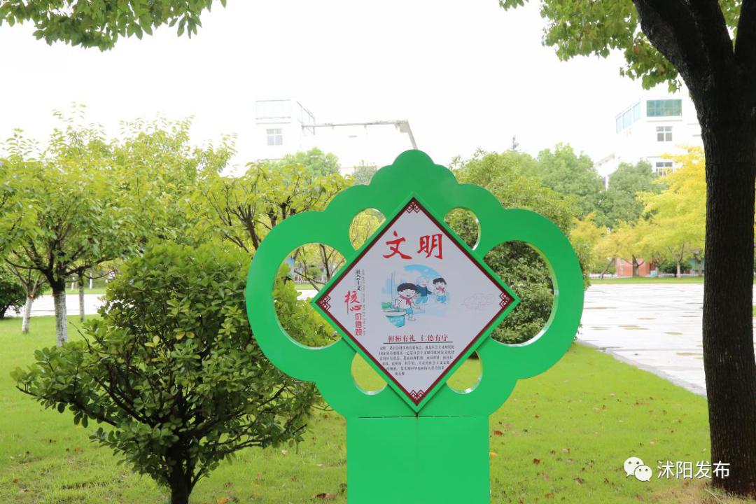 市中区小学学校排名一览表,各区重点小学排名