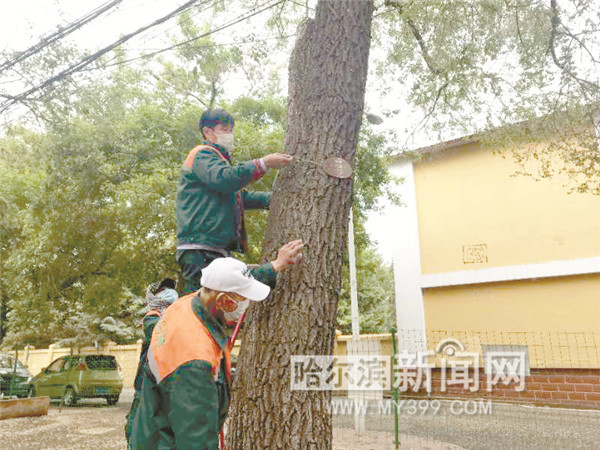 让城市绿化成果更好惠及群众,城市绿化与绿水青山就是金山银山