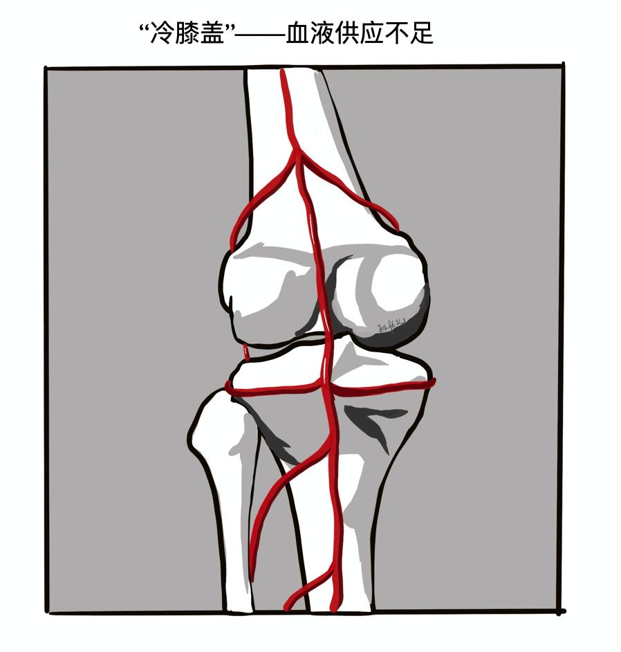 膝关节发凉吃什么药,肩膀发凉怎么保暖