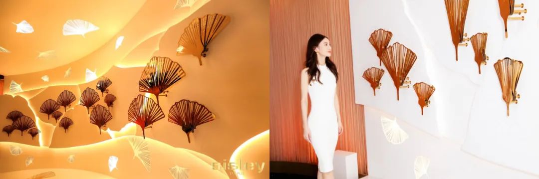 3ce值得入手的单品,3ce哪个单品好用