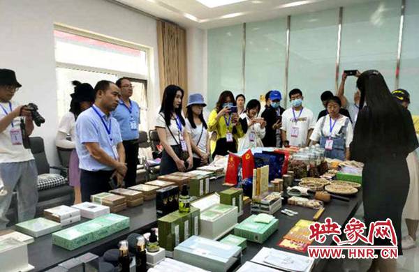 汤阴:“百草之王”名不虚传千年仙艾香飘万里