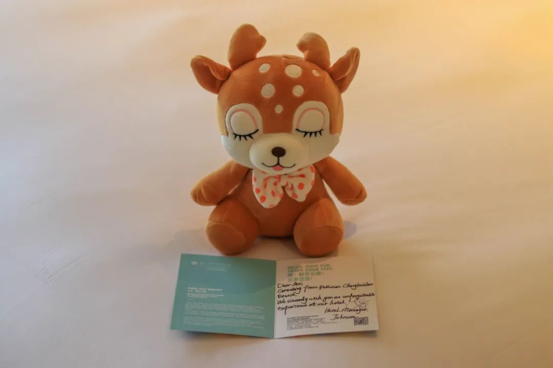 去长白山哪家酒店度假最好,长白山最佳观景酒店