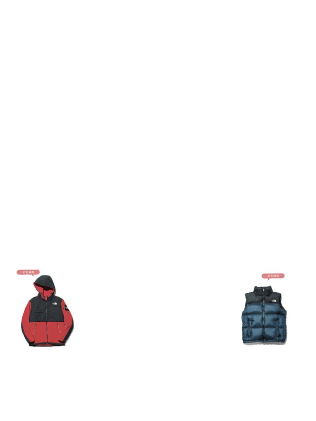 为什么现在有那么多thenorthface,thenorthface各种版本