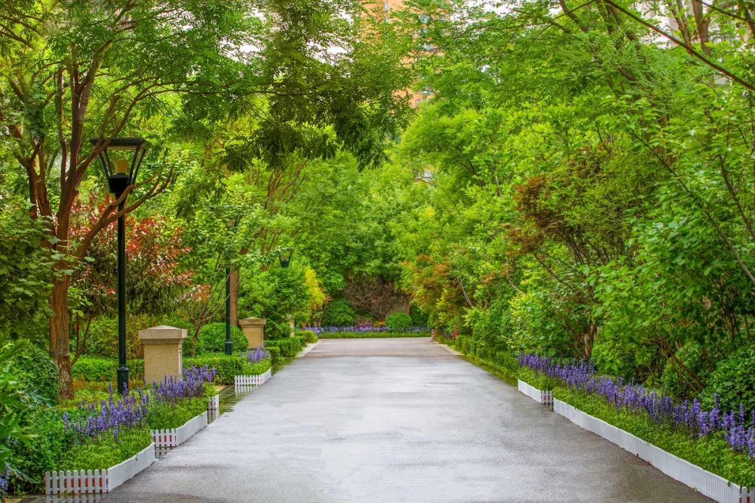 久违的亚奥现房别墅，通胀周期下的财富避风港