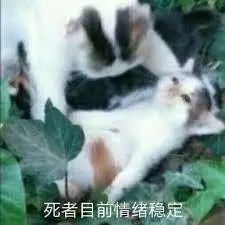 近期殡葬新闻,殡葬行业骗局揭秘新闻联播