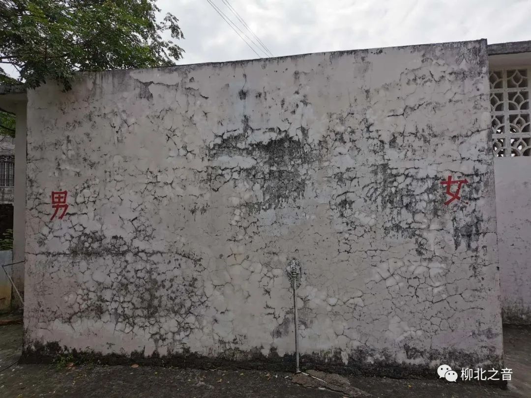 柳州市柳北教育局,柳北教育局