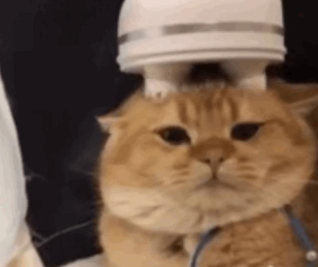 *处私**香水？蜜桃屁垫？这些东西到底是什么鬼