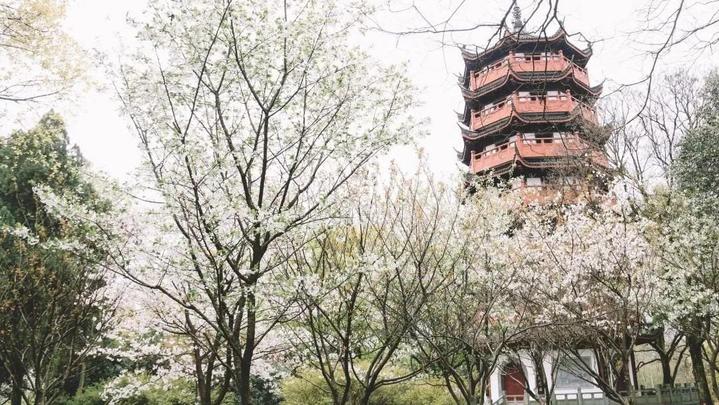 衢州府山公园地图,衢州府山公园景色