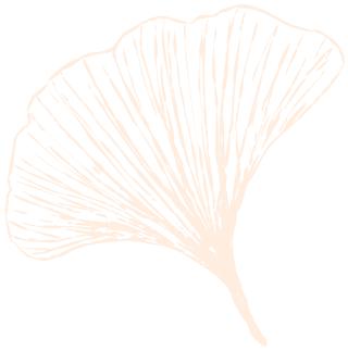 寻古问今,寻古问今的释义