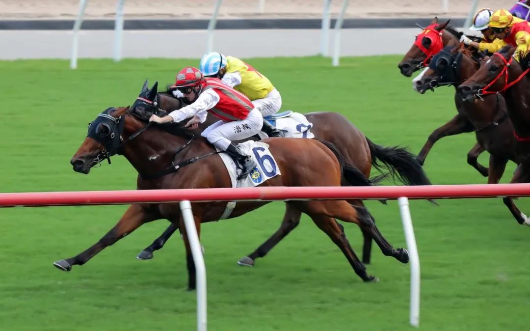 太厉害！昨天香港新马季开锣赛闭门谢客赛马，仅场外总投注额达13.76亿，打破历年纪录