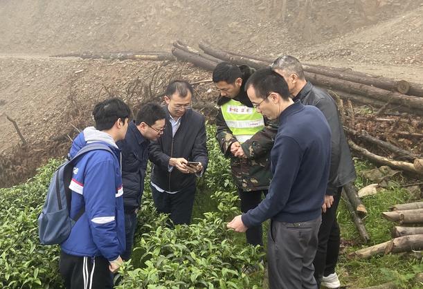鏌冲窞甯傜綉缁滄壎璐姇绁ㄥ摢瀹跺ソ,鏌冲窞甯傜綉缁滄壎璐摢瀹跺己
