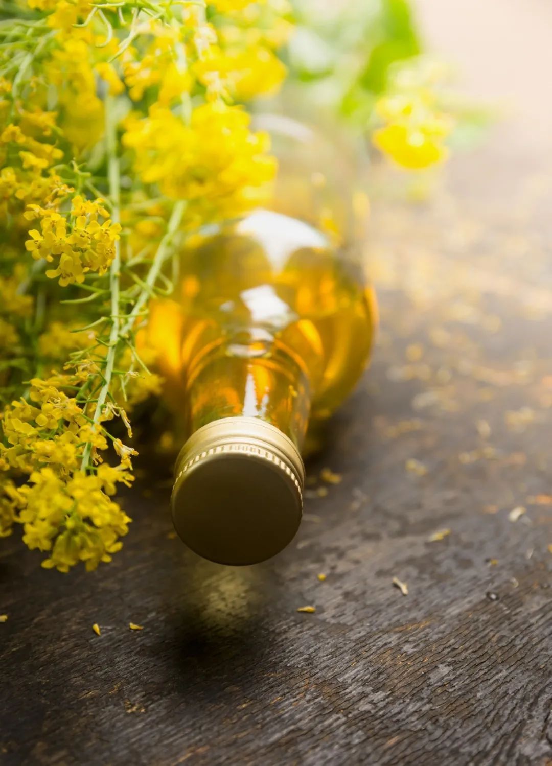 大米有哈喇味还能吃吗,花生有哈喇味还能吃吗