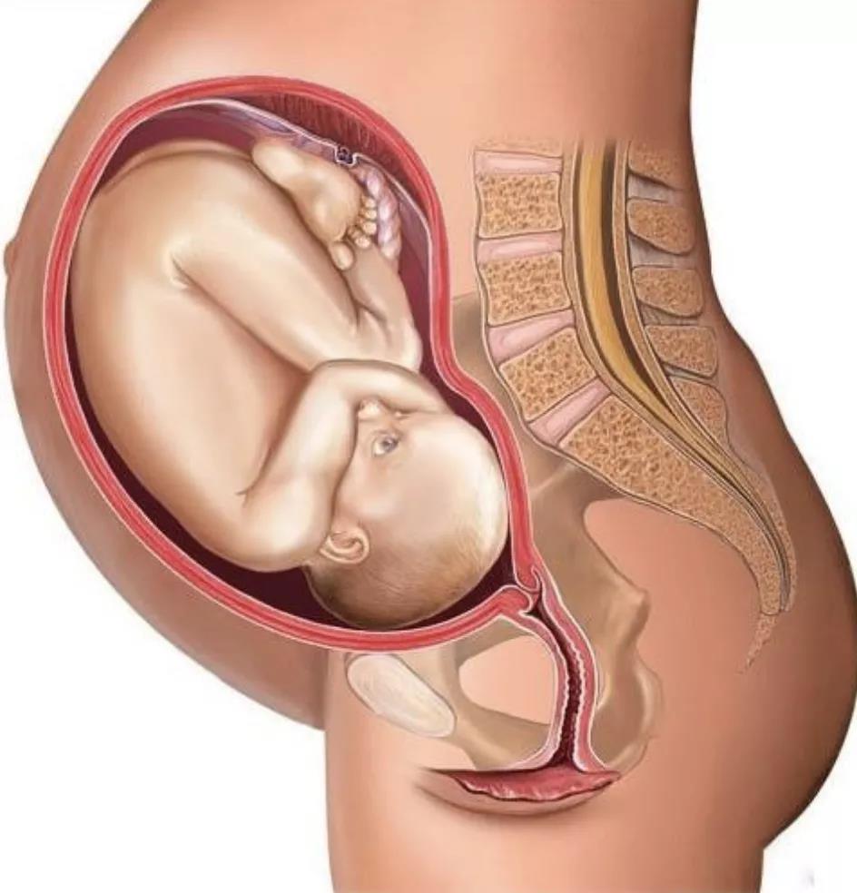 当你不想减肥时看看这些女明星,减肥坚持不下去时看看这些女明星