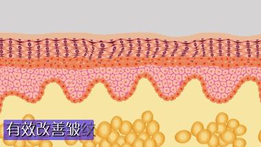 小茂面霜哪个好用,小茂推荐的护肤品