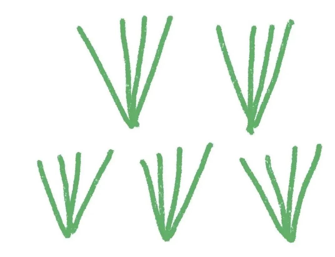 怎样种草皮有几种方法,以假乱真的草坪