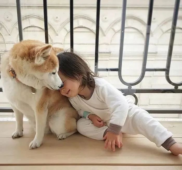 蟑螂满屋爬,蟑螂往身上爬好几只