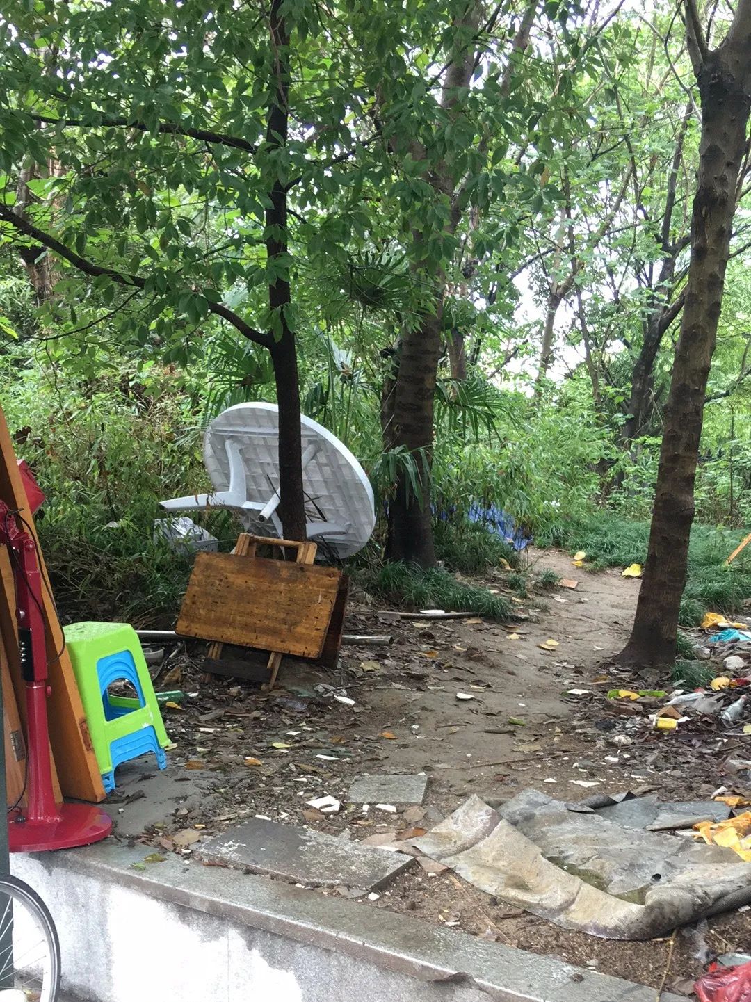 欠收拾图片,宝宝欠收拾