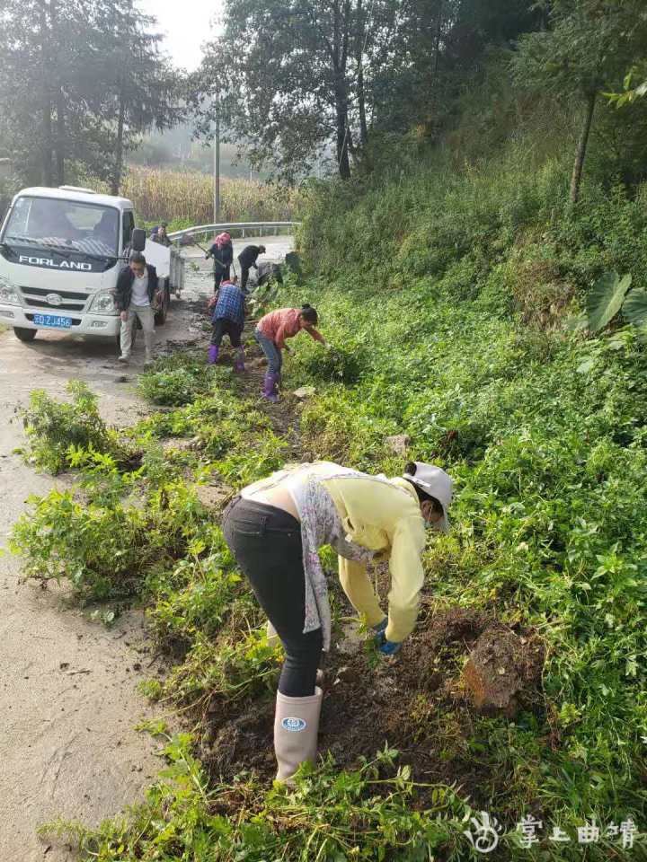 宣威田坝：“清垃圾”专项行动掀起爱国卫生运动热潮