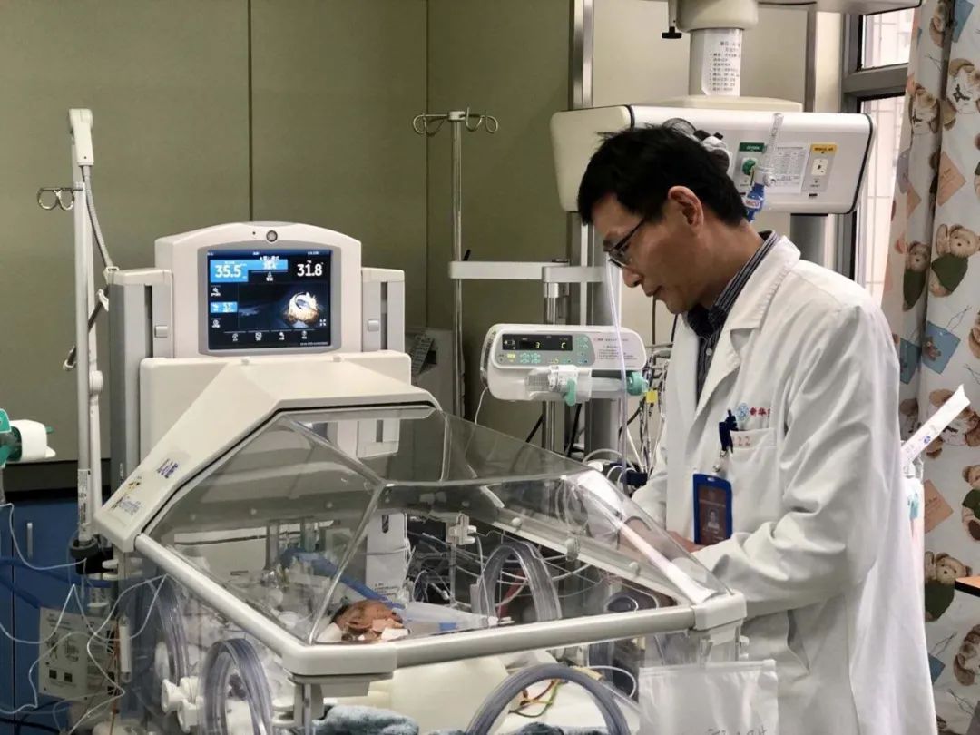 鲁亚南ko集锦,鲁亚南视频