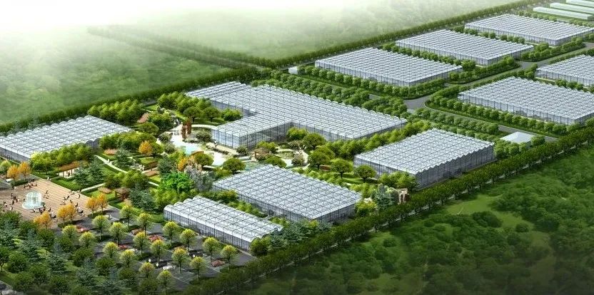 东青帮直播在线观看,东青帮直播在线