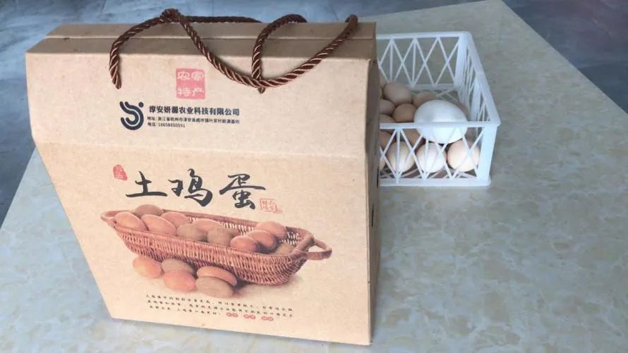 健康生活嘉年华,健康养生节活动