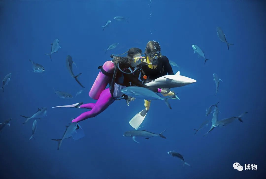 我死了又活了,我死了我的债务怎么办