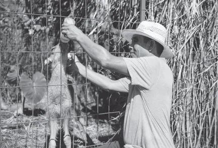 五步阅读理解法,五步精读法帮你读懂