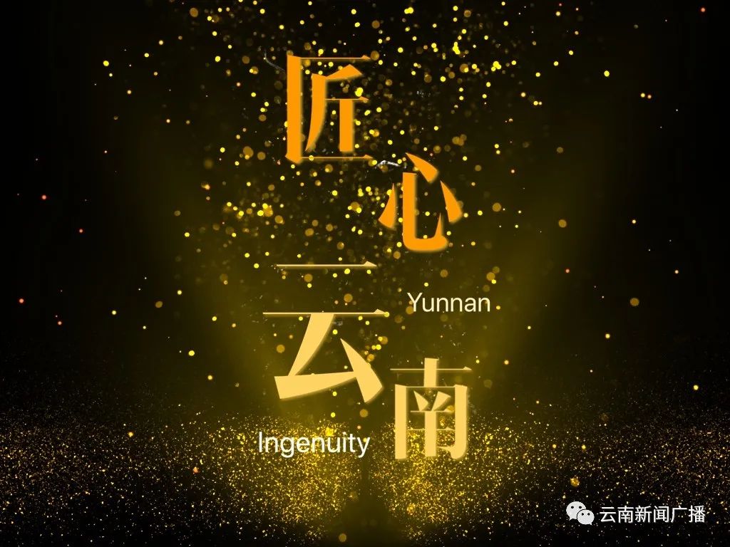 匠心云南丨绿A的成长之道