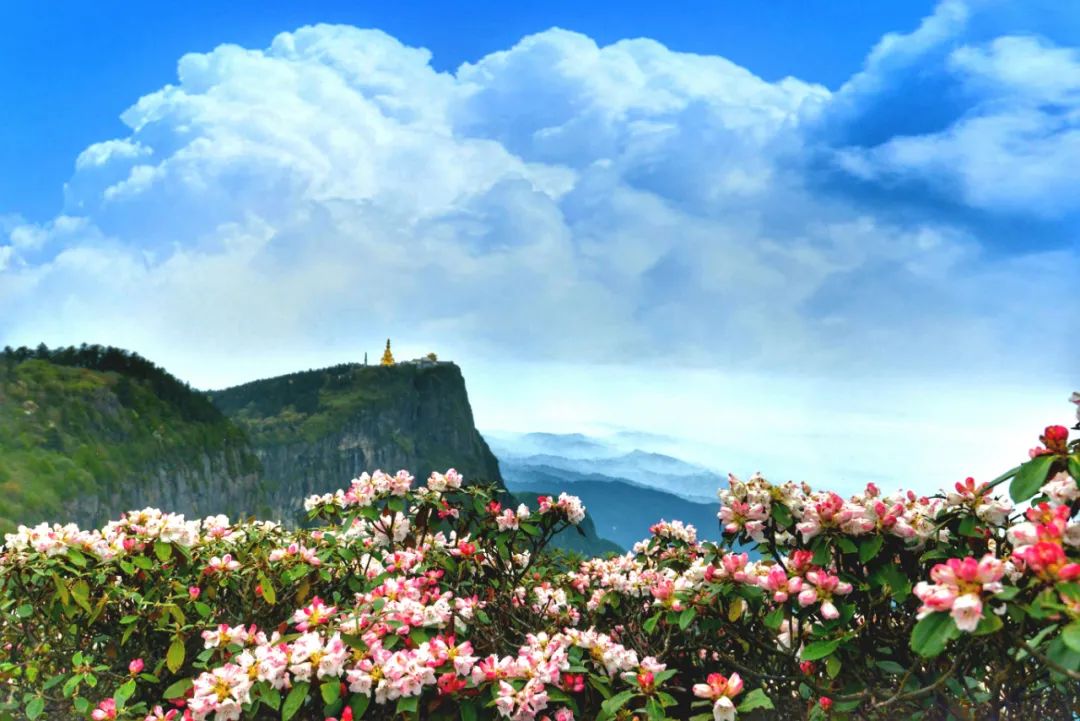 峨眉山有仙峰寺吗,峨眉山有多灵