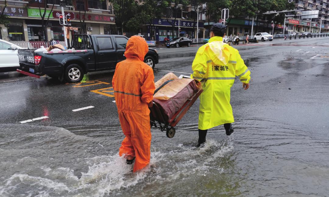 宜昌青年轻霜冻死单根草狂风难毁万木林