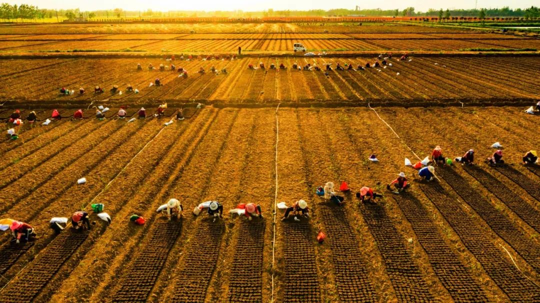 卞建军连云港,沭阳卞建军人怎么样