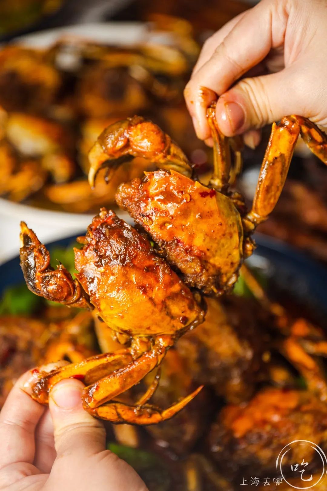 9.9元抢购大闸蟹,9.9就能吃到的大闸蟹